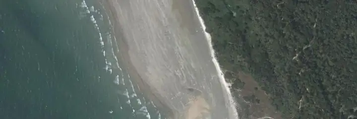 Vue du ciel : Vert Bois, Dolus-d'Oléron